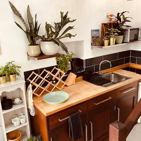 Balcon Botanico Holiday home Munique