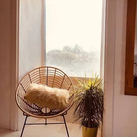 Balcon Botanico *